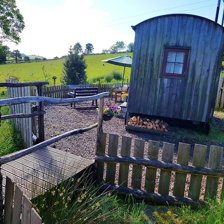 Eco Accommodation Cornflower Holiday Craven Arms Exteriör bild