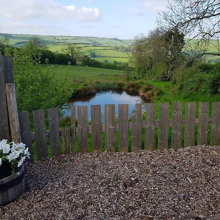Eco Accommodation Cornflower Holiday Craven Arms Exteriör bild