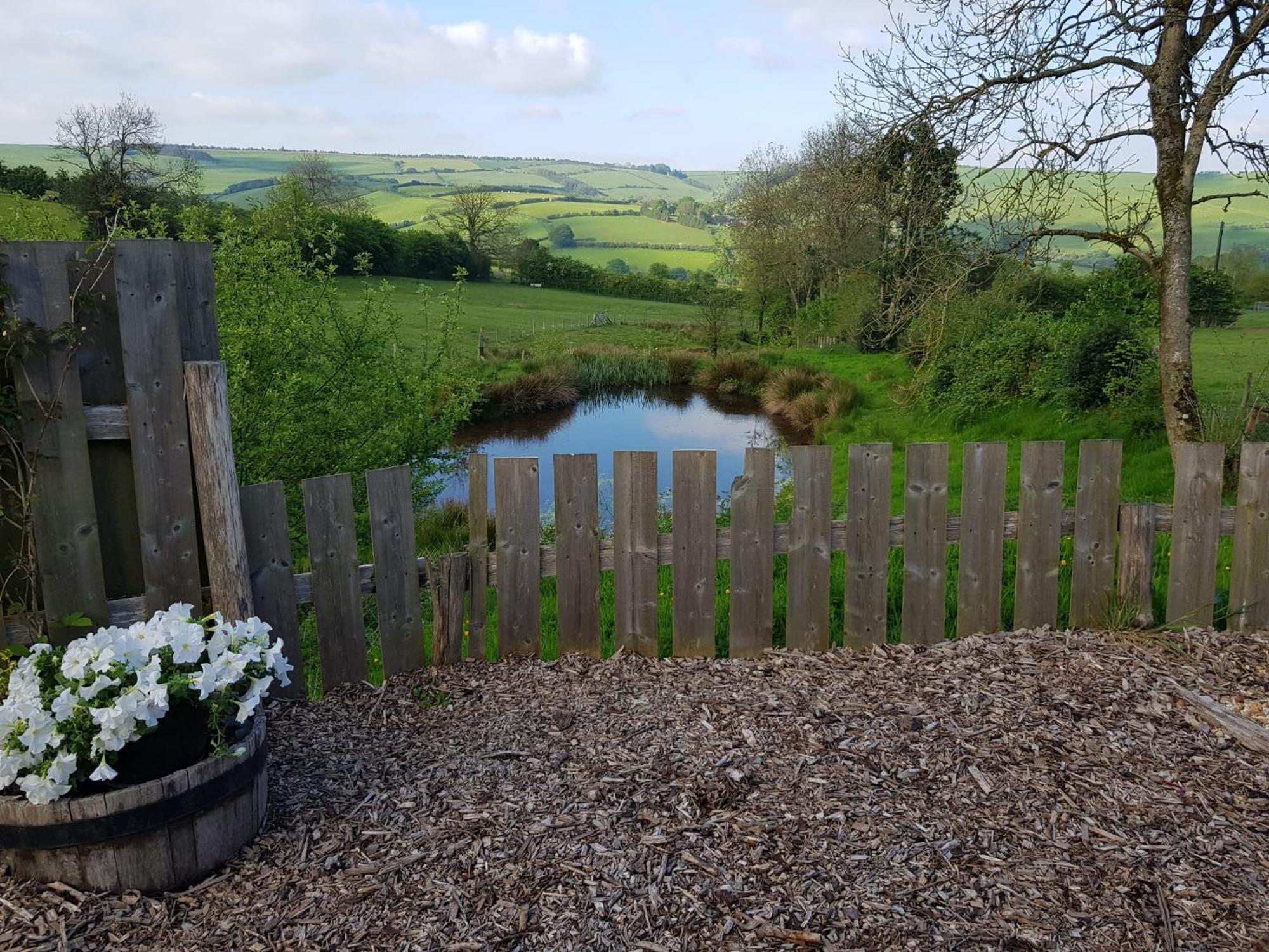 Eco Accommodation Cornflower Holiday Craven Arms Exteriör bild