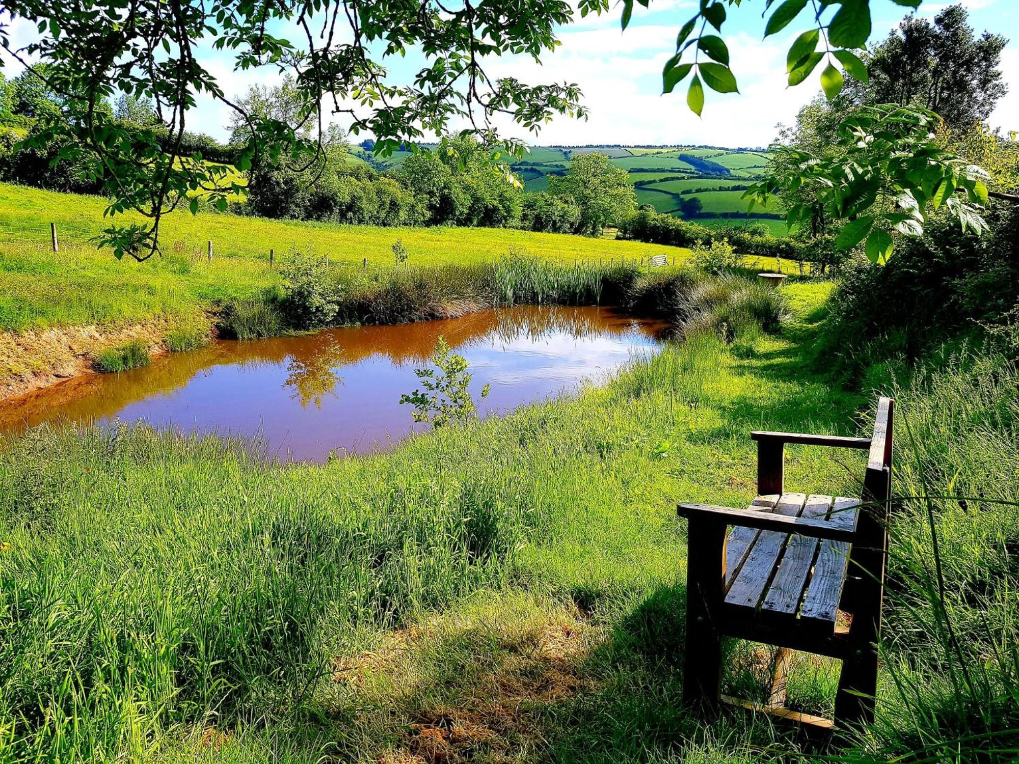 Eco Accommodation Cornflower Holiday Craven Arms Exteriör bild