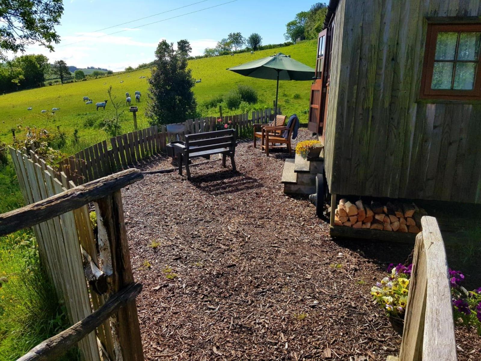 Eco Accommodation Cornflower Holiday Craven Arms Exteriör bild